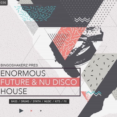 Bingoshakerz Enormous Future ^ Nu Disco House